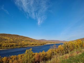 Salmon - Utsjoki - 1