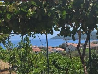 Apartmani Mislav - 6