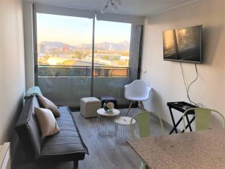 Loica Chile - Santiago - 1