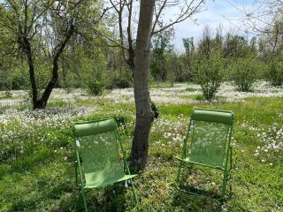 Beinalot Country House - 3