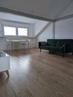 Le Vauban - appartement 2 chambres, salon, cuisine équipée, parking et wifi gratuit - Mulhouse - 9