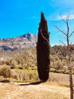 Mas Provençal au pied de la sainte Victoire à 8 k d'Aix en provence - Beaurecueil - 8
