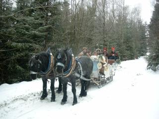 Bayern Ferienland Sonnenwald - Schöfweg - 9