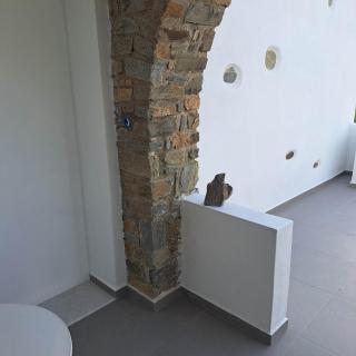 stegio - Parasporos - 2
