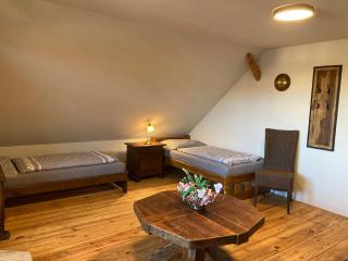 Penzion, Restaurace Jaro Věšín Brdy - Rožmitál pod Třemšínem - 6
