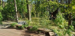 Ferienhaus Knopf -direkt am Küstenwald - Zinnowitz - 9