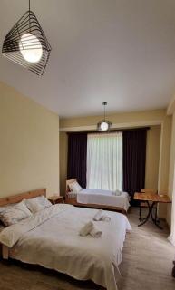 Hotel Canionel - Martvili - 5