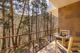 Kompozitor Hotel Dilijan - Dilijan - 1