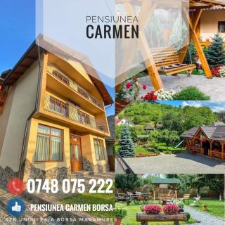 Pensiunea Carmen Borșa - 0