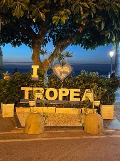 Villa Tina Tropea Costa dei Monaci Parghelia, sabbia fine e bianca e mare cristallino - 4