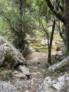 Casas Rurales El Cobijo de Sierra Cazorla - 6