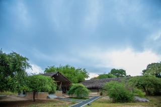 Yala Wild Hut - Yala - Tissamaharama - 2