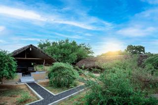 Yala Wild Hut - Yala - Tissamaharama - 1