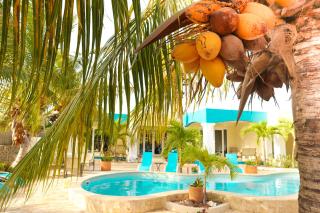 Aqua Viva Suites - Kralendijk - 7