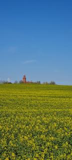 Ferienwohnung im Leuchtturmort Bastorf - Bastorf - 6