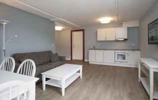 Thon Hotel Hallingdal - Ål - 4