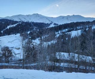Appartement 4/6 le lioran - Laveissière - 8