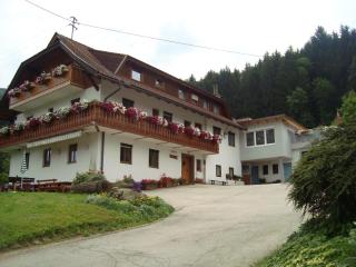 Haus Ase - Urlaub am Bauernhof - Ossiach - 0