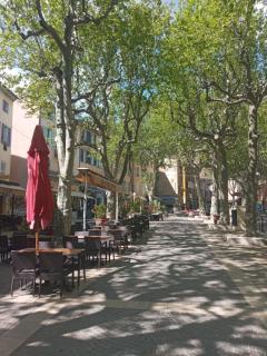 Peggy - Cotignac - 8