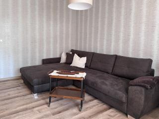 Schöne Altbauwohnung mit großer Sonnenterrasse - Rudolstadt - 3