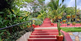 Cactus Creek Hotel - 5