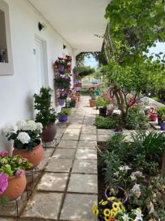 STUDIO ZOE - Marmari - 3