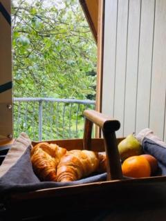 The Old Maple Lodge-Luxury Private Annex with a view in rural setting - Riccall - 5