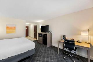 Comfort Inn & Suites - Andrews - 4