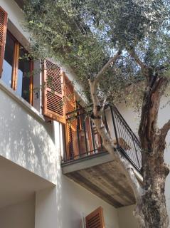 Casa degli ulivi - 4