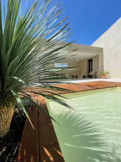 Villa Contemporaine avec piscine - Villeneuve-lès-Avignon - 7