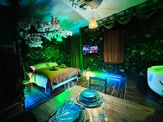 Narbnb - JUNGLE SUITE - Jacuzzi - Centre - Clim - Narbonne - 5