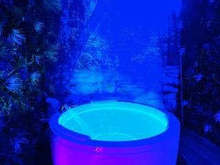 Narbnb - JUNGLE SUITE - Jacuzzi - Centre - Clim - Narbonne - 1