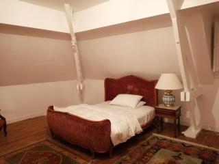 Villa Biscondau - Oloron-Sainte-Marie - 2