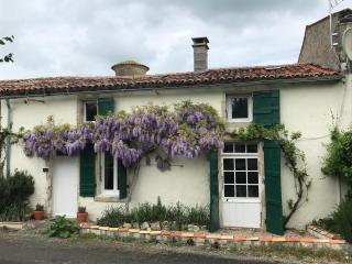 La Maison Glycine - La Villedieu - 9