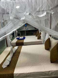 Shek villa - 0