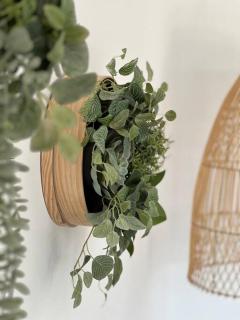 Lovely casita Jade - Playa Blanca - 5