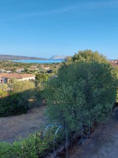 La casa di Annita - Tanaunella - 8