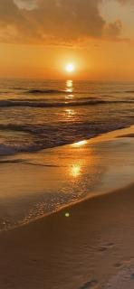 LUXURY ROSE COTTAGE ,ABOITEAU BEACH,CAP PELE - 5