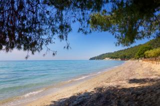 Green Eden home near the beach - Skala Fourkas - 6