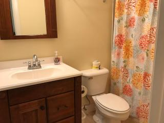 42 Firethorn Lane - Hilton Head Island - 5