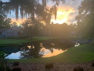 3319 Lake Forest Drive - Hilton Head Island - 9
