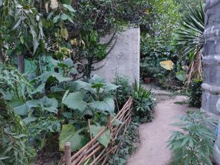 Thong Family Homestay Chiangdao - Chiang Dao - 1