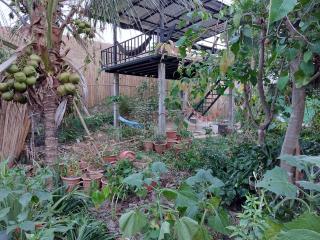Thong Family Homestay Chiangdao - Chiang Dao - 2