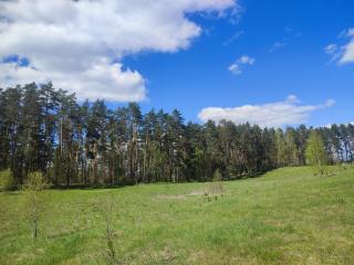Domki z bali u Ireny Mazury - Ryn - 7