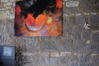 Le Gîte de la Gray House - 5