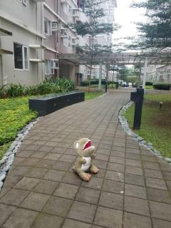 2-bedroom condo unit with Netflix and board games - 6