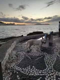 Pousada Good Times - Guarujá - 5
