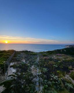 Nazare Uninterrupted Views and Sounds of the Sea - Pataias - 7