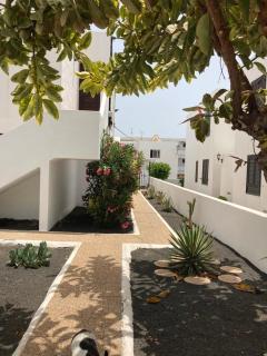 OasisstudioLanzarote - Puerto del Carmen - 3