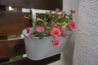 DaRoom in the heart of Plovdiv - 7